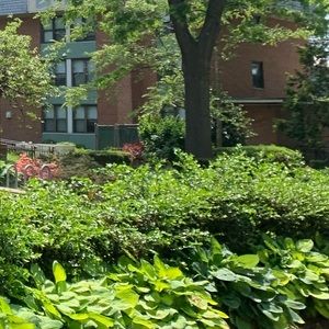 Meet your Posher, Tatiana